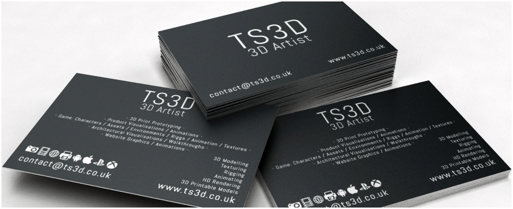 TS3D - 3D Artist - BCard